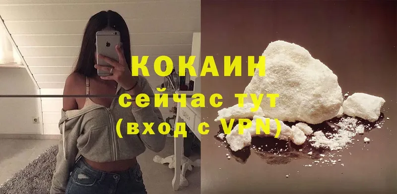 купить наркоту  Гдов  MEGA онион  Cocaine 99% 